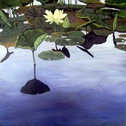 LILY POND - contemporary waterscape